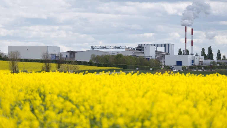 CODRA: la suite Panorama a servizio dell'industria agroalimentare